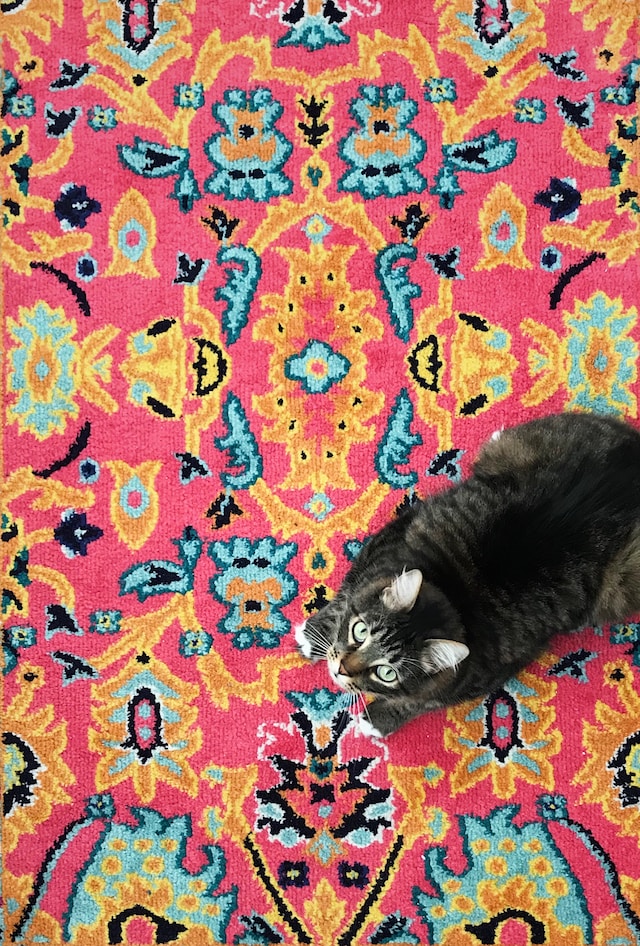 Types of Patterns and Designs Found on Pacific Northwest Native American Rugs